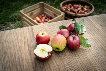 Nahaufnahme von Äpfeln auf einen Holzbrett, Holzkiste und Korb mit gepflückten Obst im Hintergrund.