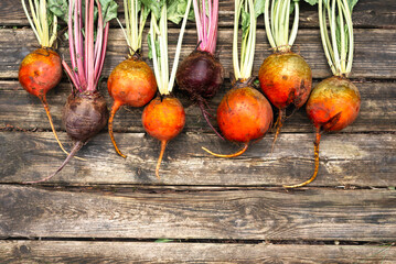 Beetroots on wooden background. Ripe yellow, orange and purple beets.