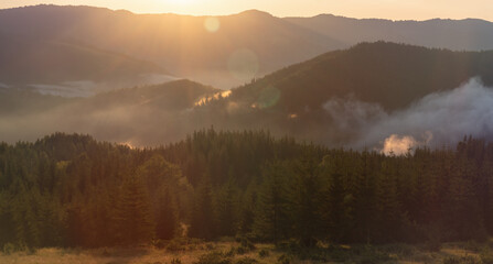 Beautiful morning panorama of forest covered by low clouds. Sun rays in forested mountain slope.