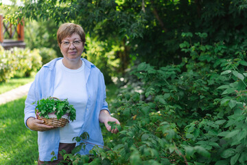 Senior woman is gardening on beautiful sunny day