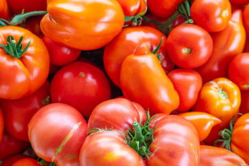 home tomatoes, different varieties from home garden - real photo