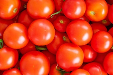 home tomatoes, different varieties from home garden - real photo