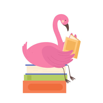 Flamingo sitting on books and reading. Zoo bird book lover, library literature cartoon vector illustration