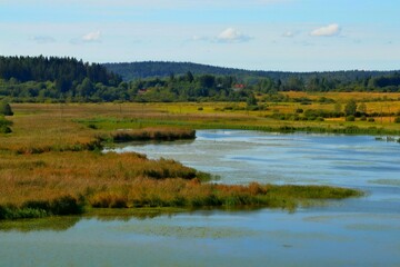 Forests and lakes of Karelia nature, view from Vakkosalmi park, picturesque landscape