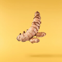 Fresh turmeric root falling in the air isolated