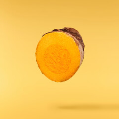 Fresh turmeric root falling in the air isolated