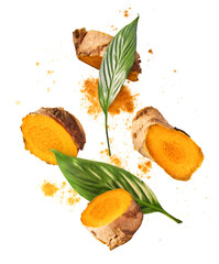 Fresh turmeric root falling in the air isolated - obrazy, fototapety, plakaty