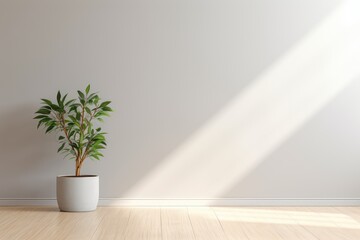 Light gray wall and and a wooden floor with a potted plant