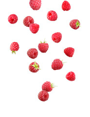 Many fresh ripe raspberries falling on white background