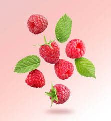Many fresh ripe raspberries and green leaves falling on pink background