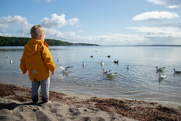 Fototapeta na wymiar A little toddler boy on the beach watching gull birds in the water, wearing yellow jacket, cloudy weather with sunshine