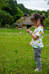 白詰草を集める小さな女の子