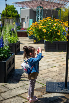 a girl taking pictures of flowers in a park