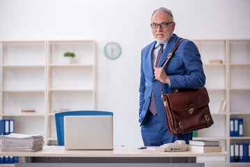 Old male employee working in the office
