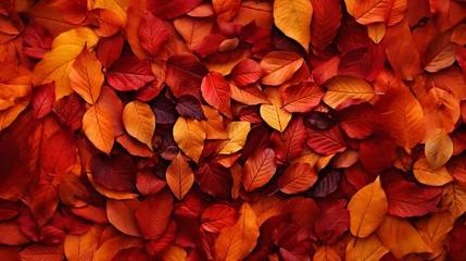 Afwasbaar Fotobehang Rood 秋の赤と黄色の落ち葉の背景素材