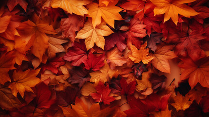 Naklejka na ściany i meble 秋の赤と黄色の落ち葉の背景素材