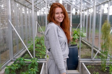 happy young woman gardener harvesting greenery at her greenhouse at summer