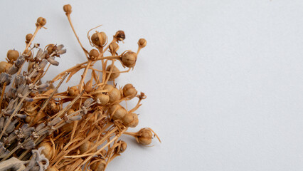 Picture of herbal incense made with herbs such as lavender and sage on a white background - obrazy, fototapety, plakaty