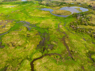 Close-up drone shot of the bright green flooded grasslands of the Pantanal in Brasil, the world's largest freshwater wetland; Traveling South America