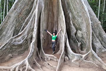 
Beautiful Asian woman Holding binoculars at the roots of a large tree and are delighted happily. This tree is very large and is a popular attraction for Thai tourists.
