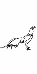 chicken icon