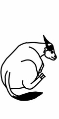 buffalo icon