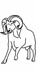 sheep icon