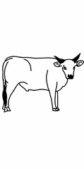 cow icon