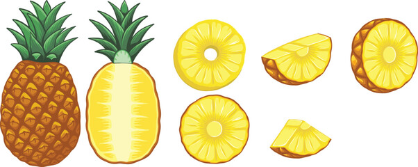 Set of pineapple fruits. Pineapple exotic tropical fruit as name Ananas comosus. Whole pineapple with leaves and pineapple slices and a half. Hand drawn Vector illustration.