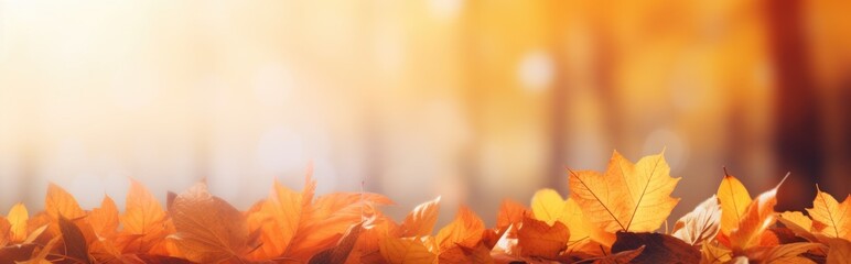With orange leaves on a blurred background, this is a colorful universal natural autumn panorama for design.