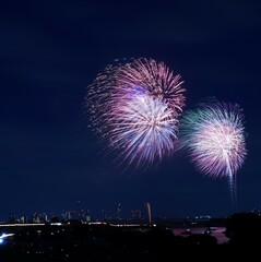 夜空の彩る光　花火