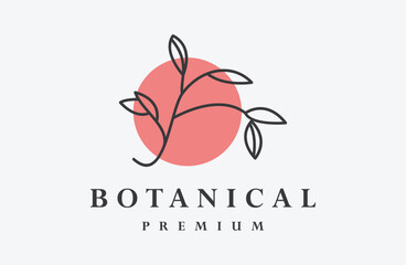 Botanical plant twigs and delicate flowers in boho linear style vector illustration