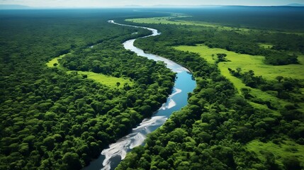 Aerial view of winding river through dense Amazon