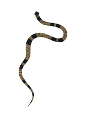 Vector hand-drawn illustration of yellow striped Snake top view. Isolated on white background