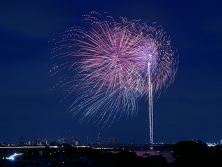 夜空の彩る光　花火