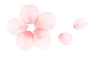Obraz premium 手描きの水彩の桜の花と花びら