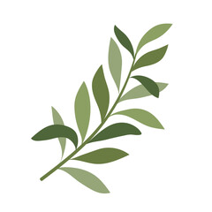 olive leaves flat vector illustration logo icon clipart isolated on white background