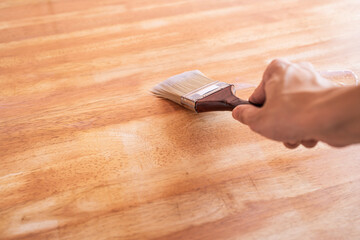 Apply clear wood stain on wood panel with brush
