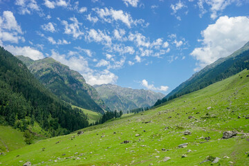 The Tarsar Marsar Lake trek is one of the prettiest treks in our country, provided you time it ... Kashmir Great Lakes is a lot tougher than the Tarsar Marsar trek, india, tourist and hikers