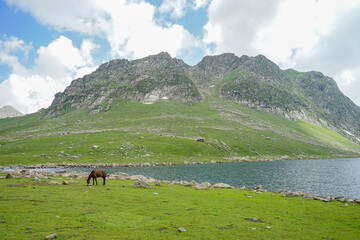 The Tarsar Marsar Lake trek is one of the prettiest treks in our country, provided you time it ... Kashmir Great Lakes is a lot tougher than the Tarsar Marsar trek, india, tourist and hikers