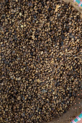 Kopi luwak or civet coffee, Coffee beans excreted by the civet	