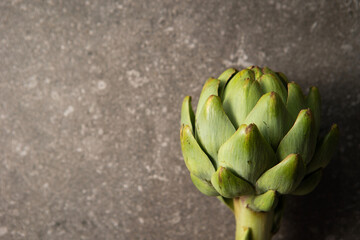 artichoke, camus de Bretagne,	