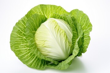 Fototapeta premium cabbage isolated on white background