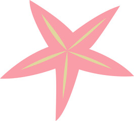 Hand drawn starfish.