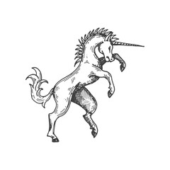 Unicorn medieval heraldic animal sketch. Fantasy beast, legend unicorn horse or mythical animal etching vector emblem. Magic creature medieval coat of arms, sketch insignia or royal heraldic sign © Vector Tradition