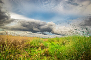  Clouds photo over the cultivation field