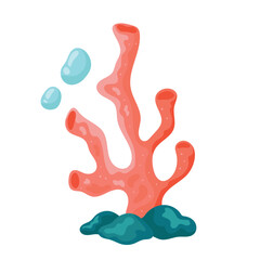 marine coral and reef