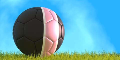 Football ball textured by Inter Miami american soccer team uniform colors. Green grass of footbal field. 3D render © JEGAS RA