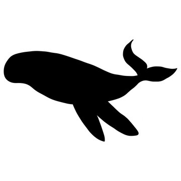 Whale Shark Silhouette Icon Isolated on White Background. Whale Cartoon Illustration.