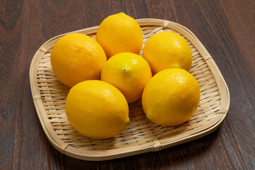 メイヤーレモン、マイヤーレモン